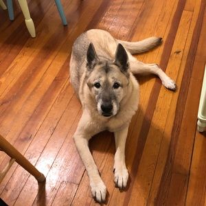 Meet your Posher, Edite